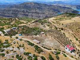 Cb'den Sarıçukur'da Çiftlik Ve Yatırıma Uygun Satılık Arsa
