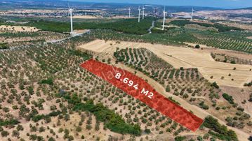 Çanakkale Ezine Üvecik Köyünde 8.694 M2 Tarla !