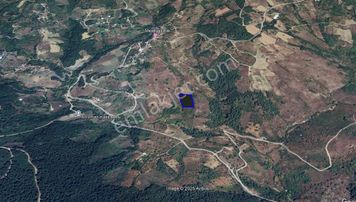 Sakarya Geyvede Satılık Tarla Tarım Ve Yatırıma Uygun