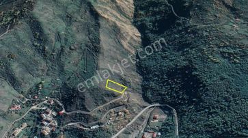 Artvin Murgul Göktaş Mahallesinde Satılık Yatırımlık Arsa