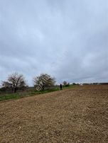 Acil Satılık Tarla Saray Göçerlerde Hızlı Tren Hattına Cephe