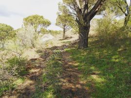 Satılık Müstakiltapu