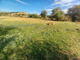 Elif Gayrimenkul Den Beypazarı Uruş'ta Tek Tapu Kupon Tarla