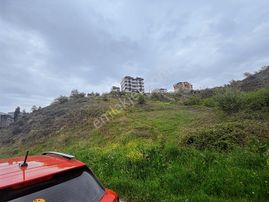 Kelepir Fırsat Arsa! Çayırova Akse 489 M2 4 Kat İmarlı Arsa