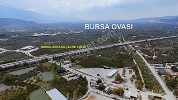 Remax Advantage'dan Kestel Yola Cepheli Ticari İmarlı Arsa