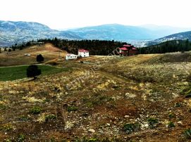 Kamışlı Yaylasında 500 M2 Arsa