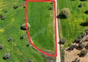 Turyap Altınoluk'tan Pelitköyde Yatırımlık Tarla