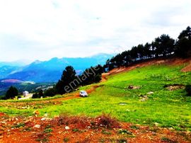 Yeni Konacık Bozkırlı Mevkiine 430 M2 Satılık Arsa