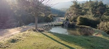 Ahmetli Alahıdır'da//7209m2 Tektapu/içinde Doğalgöleti Olan Bağ