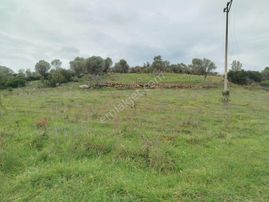 Seferihisar Orhanlı Merkezde Ana Yola Sıfır Tarla