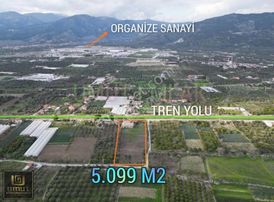 Aydın'da Kelepir Fiyata Çiftlik Satılık İçinde Ev Var