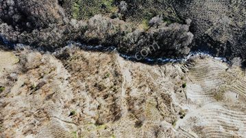 Yön Grouptan Satılık Fındık Bahçesi
