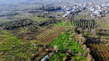 Nilüfer Fadıllı Tek Tapu 400 M2 Satılık Tarla Köyün Dibinde