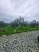 Premar Ayvada'dan Gömeç Karaağaç Sahil'de Villa İmarlı Arsalar