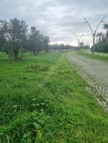 Premar Ayvada'dan Gömeç Karaağaç Sahil'de Villa İmarlı Arsalar