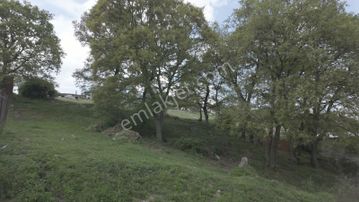 Balıkesir Savaştepe Satılık Arsa (840 M2)