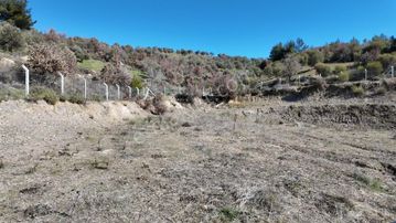 Gömeç Kubaşlar Orman İçi Bahçe(2041 M2)