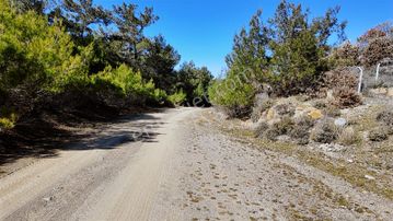 Gömeç Kubaşlar Orman İçi Bahçe(2041 M2)