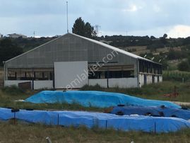 Balıkesir Altıeylül Pamukçu'da 24 Dönüm Ruhsatlı Çiftlik