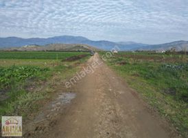 Antika Gayrimenkulden Yölüstü Mahallesinde Satılık 7663 M² Tarla