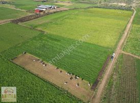 Antika Gayrimenkulden Yölüstü Mahallesinde Satılık 7663 M² Tarla