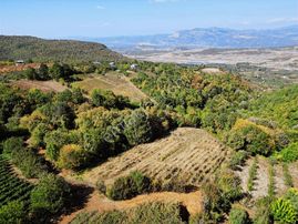 Acil Gözede Köyü 3676 M² Kullanım Alanı 4200 M2 Yerleşime Yakın