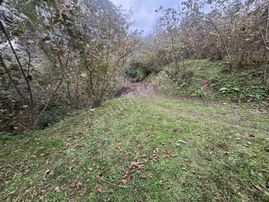 Vızyon'dan Yıldızlı 7000 Yada 14000 M2 Satılık Bahçe