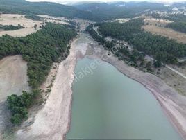 Hesaplı Yatırımlık Tarla Yerleşime Göle Yakın