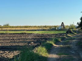 Antalya Manavgat Bereket Mahallesi Satılık Tek Tapu Tarla