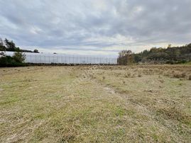 Antalya Manavgat Örenşehir Mahallesi Satılık Tarla