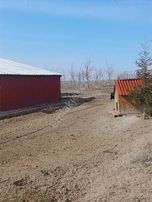 Güdül Güneycede Acil Müstakil Ev Fırsat 2675 M2 Arsalı Takaslı