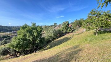 Havran Kalabak Köyünde %40/80 İmarlı Arsa