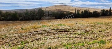 Sorgun Merkez Mükremin Mahallesi Tek Tapulu