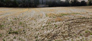 Sorgun Merkez Mükremin Mahallesi Tek Tapulu