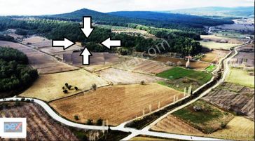 Eceabat Bigalı Da Tek Tapu Satılık Tarla