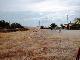 Mucur Asmakaradam Köyünde Müthiş Satılık Arsa