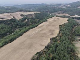 Yüreğir Çelemli'de Satılık Tek Tapu Tarla