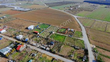 İzmir Menderes Develide 250 M², Elektriksu Hazır Tapudan Satış