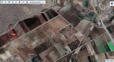 Talha Tozduman'dan Meram Çomaklar Yola Cephe Müstakil 5.335m2trl