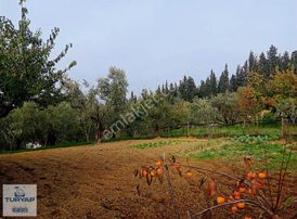 Turyap'dan Karamürsel Merkezde Full Deniz Manzaralı Arsa