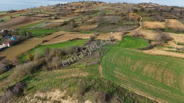 İnecik Mahallesi Tepe Konum 881 M² Köy İmarlı Yatırımlık Arsa