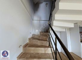 Zeytinalanda Muhteşem Kiralık Villa!