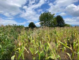 Epa Tekbir'den Satılık 724m² Arsa!!!