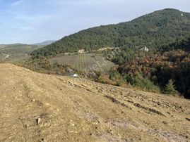 Osmangazi Avdancıkta Yatırımlık Tarla Elektrik Ve Su Hazır,