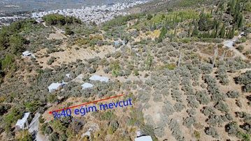 Doğanın Kalbinde Yatırım Fırsatı!