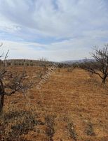 Oğuzelinde Resmi Yola Sıfır 4.113 Metre Tek Tapu