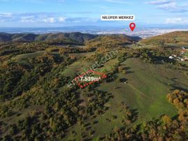 Dağyenice Göl Ve Atlas Manzaralı Doğa İle İç İçe Fırsat Arazi !