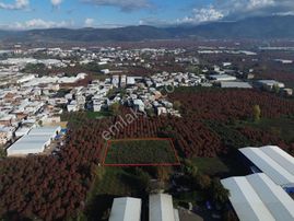 Dialog Prestij Samanlıda Kupon Tarla Gelecege Yatırım