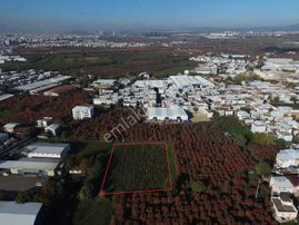 Dialog Prestij Samanlıda Kupon Tarla Gelecege Yatırım