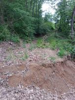 Tarcanlar'dan İzmit Kurtdere Mah 1.166 M² Satılık Fındık Tarlası